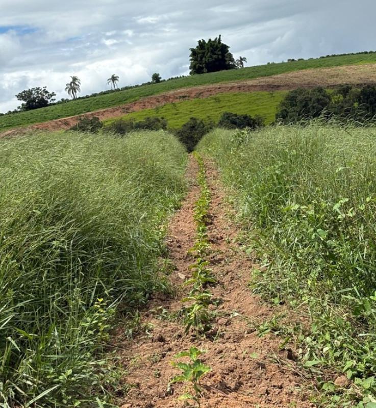 Fazenda, Zona Rural, 0 Quarto, 0 Vaga