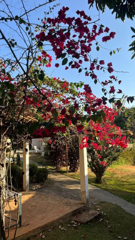 Fazenda, Nossa Senhora de Fátima, 3 Quartos, 5 Vagas, 2 Suítes