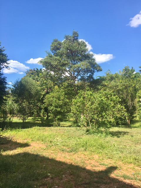 Lote, Paciência, 0 Quarto, 0 Vaga
