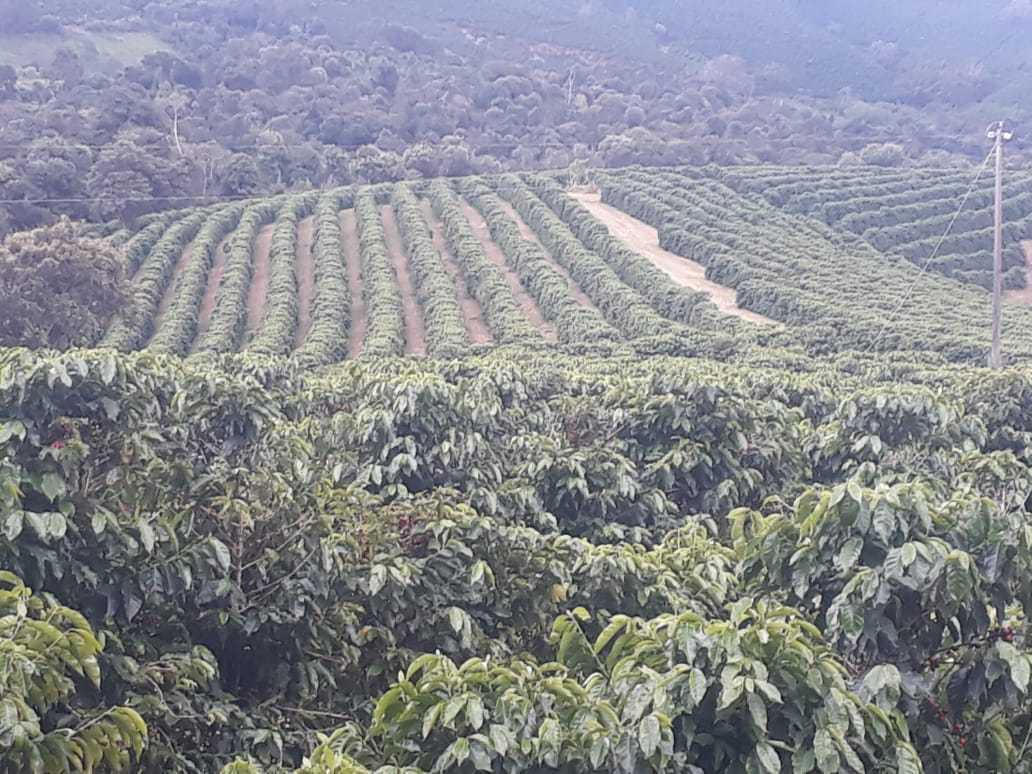 Fazenda, Zona Rural, 4 Quartos, 0 Vaga, 1 Suíte