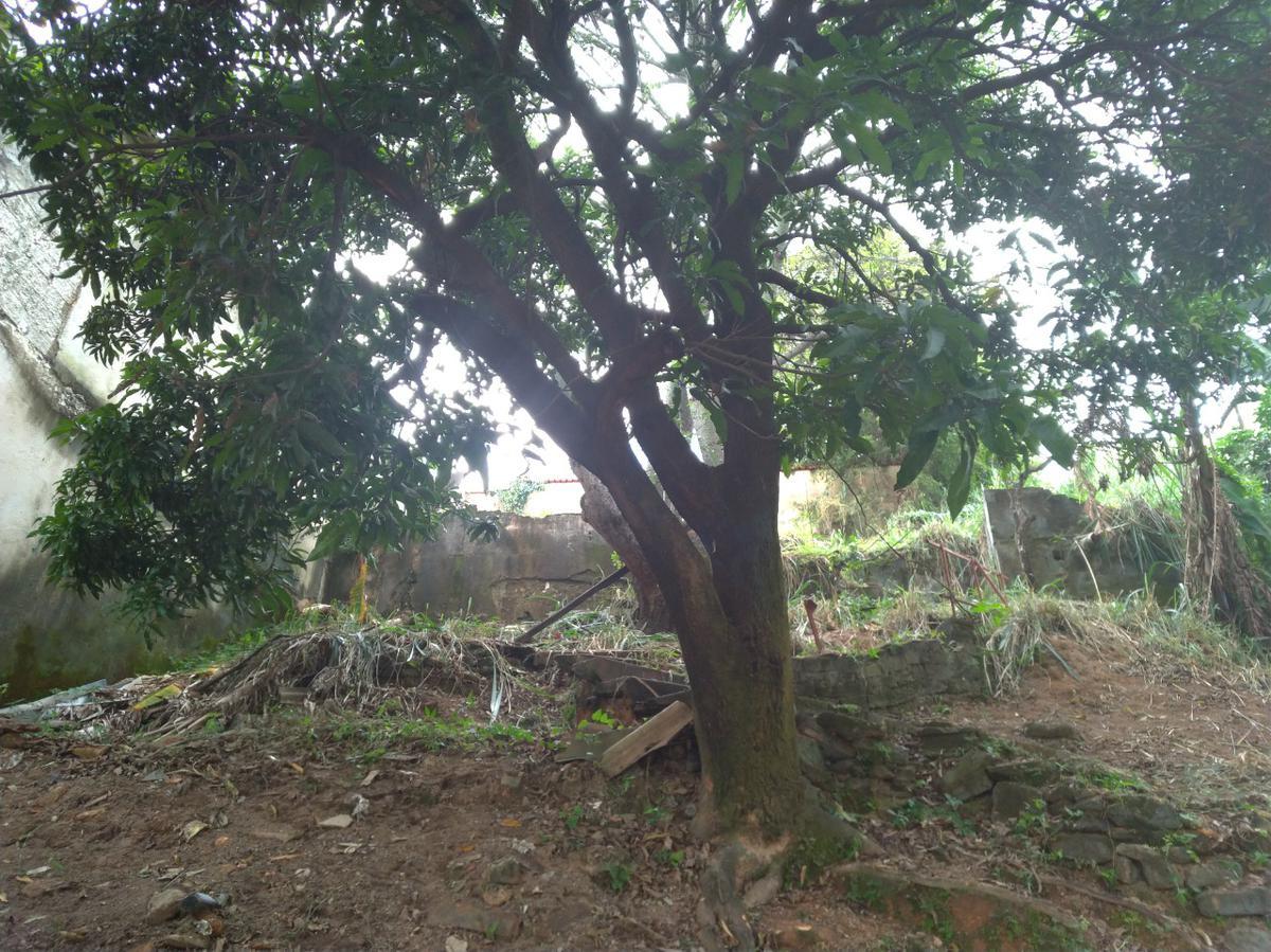 Lote, Graça, 0 Quarto, 0 Vaga