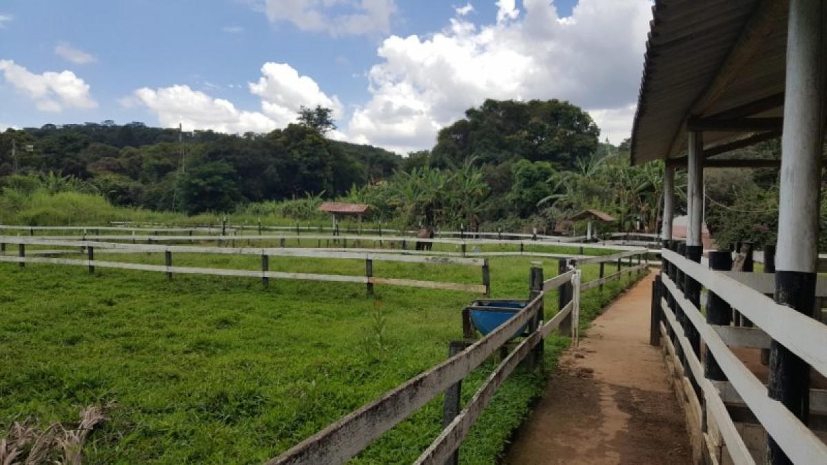 Fazenda, Califórnia, 5 Quartos, 3 Vagas, 1 Suíte