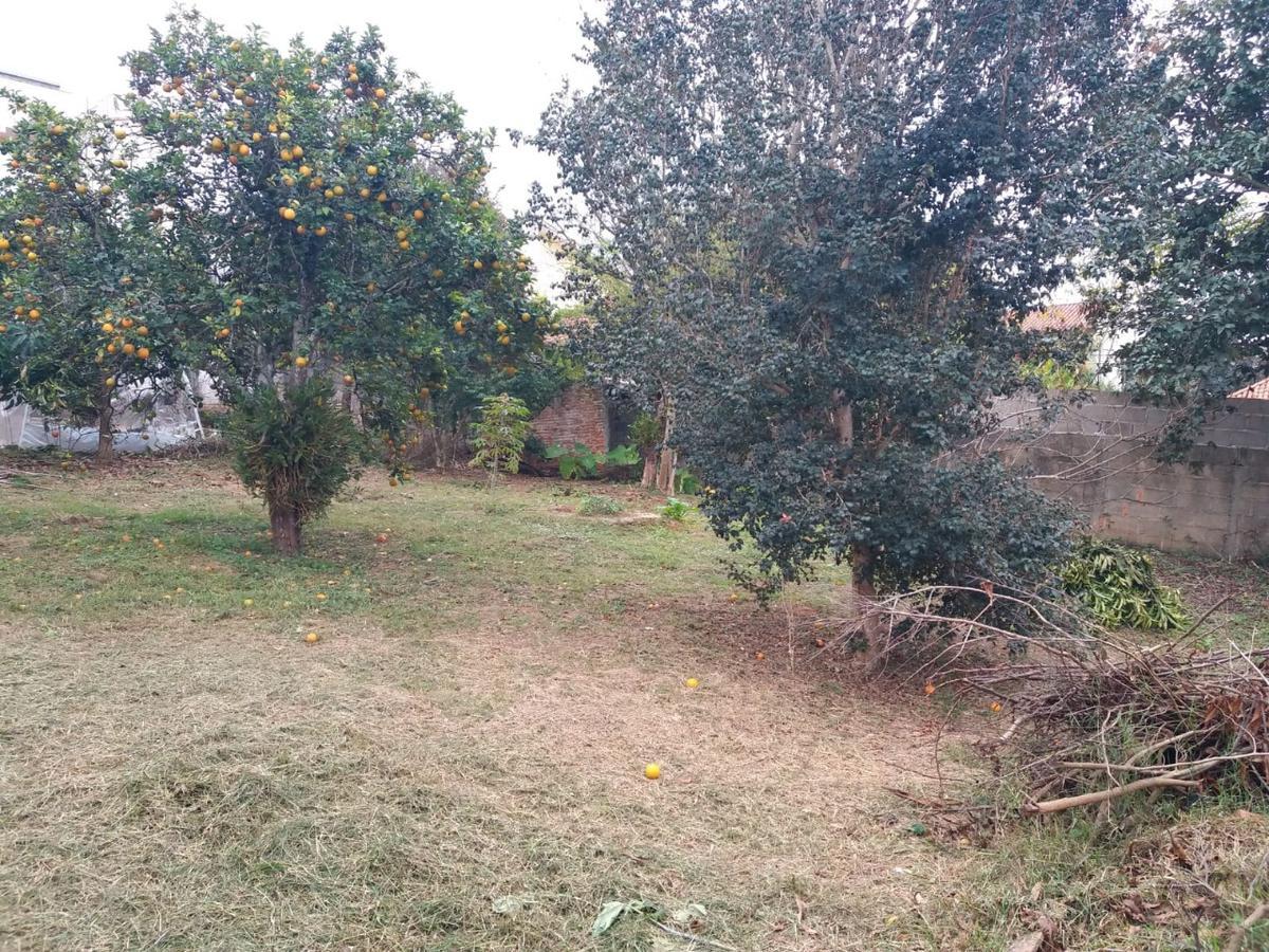 Lote, Centro, 0 Quarto, 0 Vaga