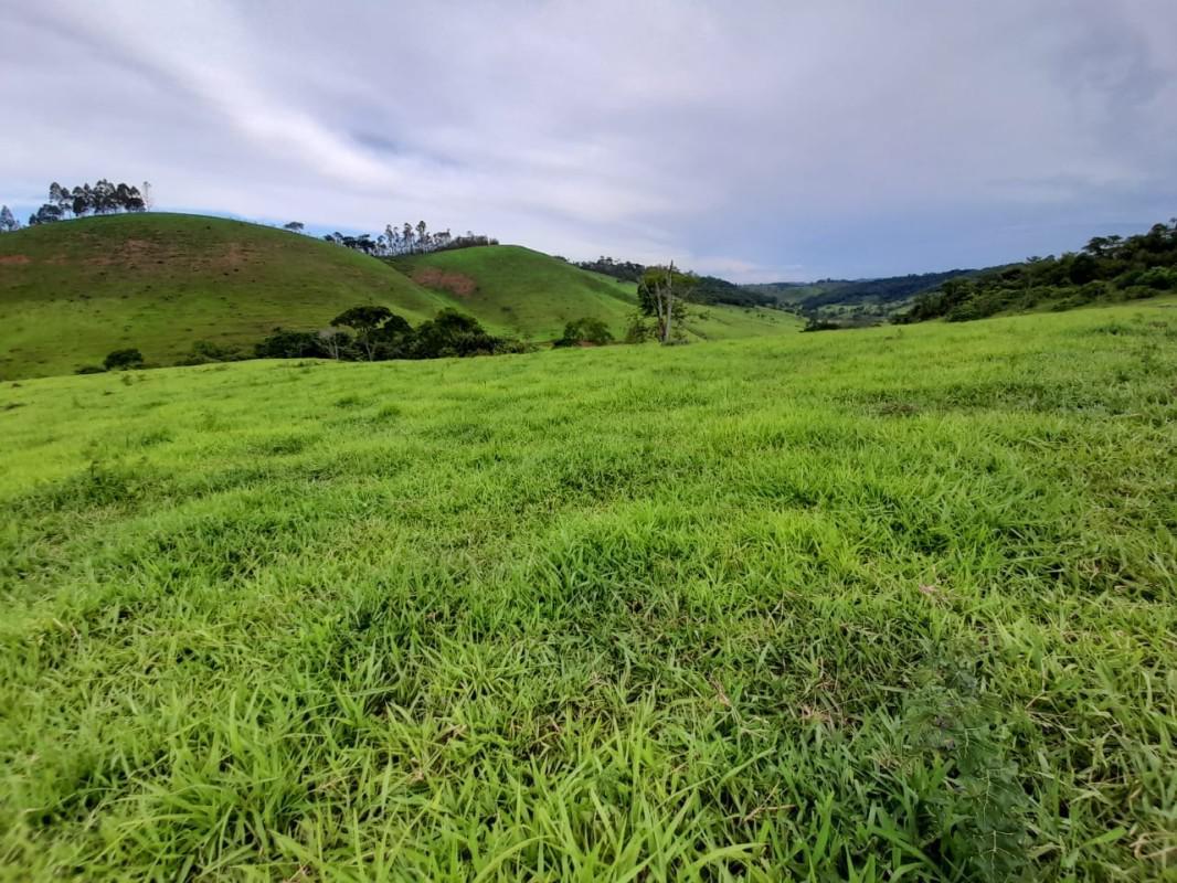 Fazenda, Zona Rural, 8 Quartos, 0 Vaga