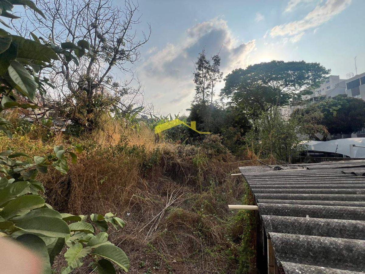 Lote, Cinquentenário, 5 Vagas