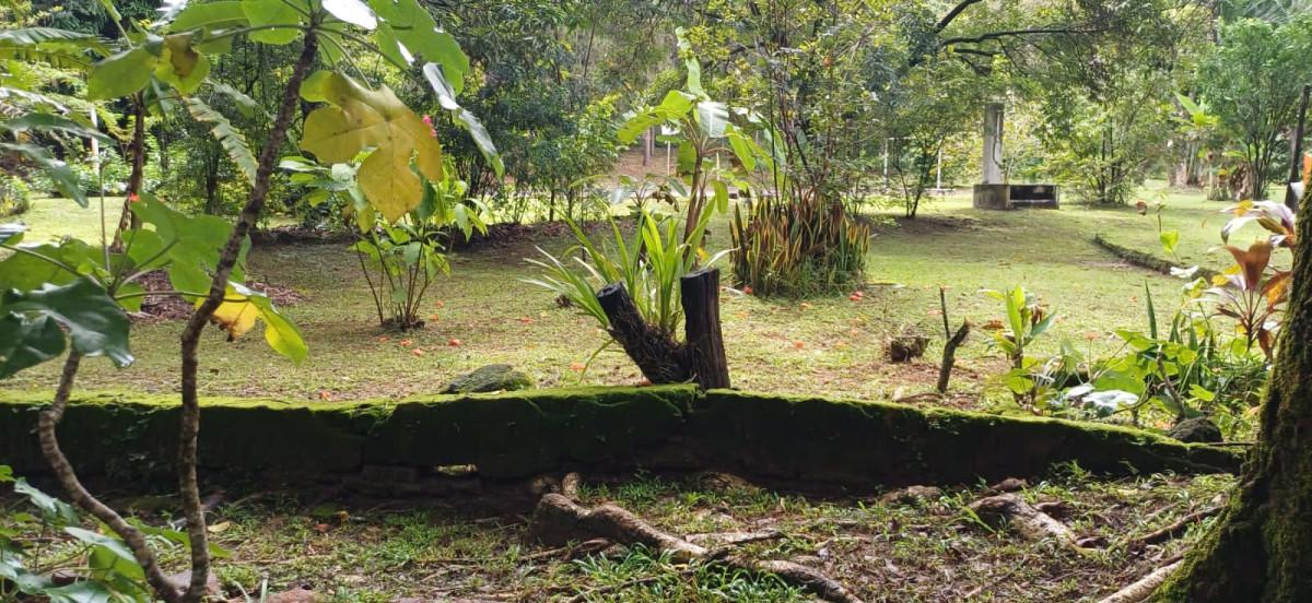 Fazenda, Bambus, 3 Quartos, 10 Vagas