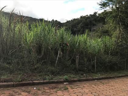 Lote, Nacional, 0 Quarto, 0 Vaga
