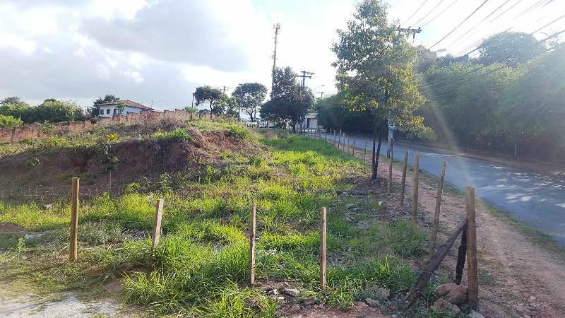 Lote, Braúnas