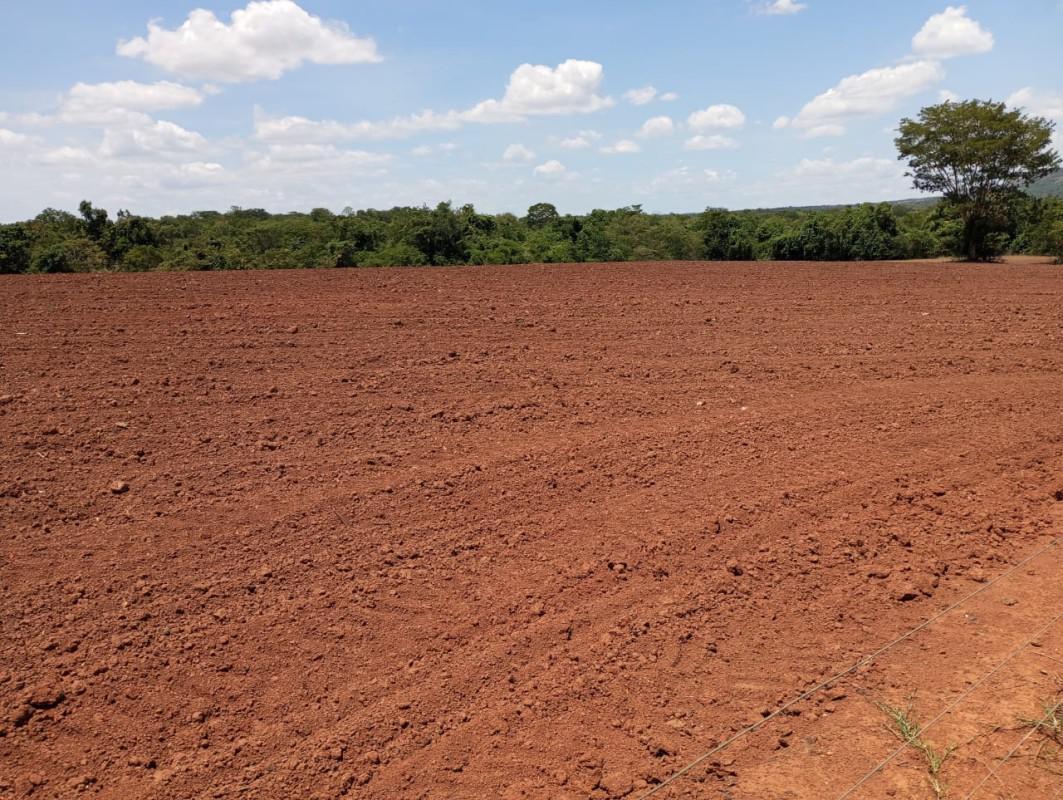 Fazenda, Centro, 0 Quarto, 0 Vaga