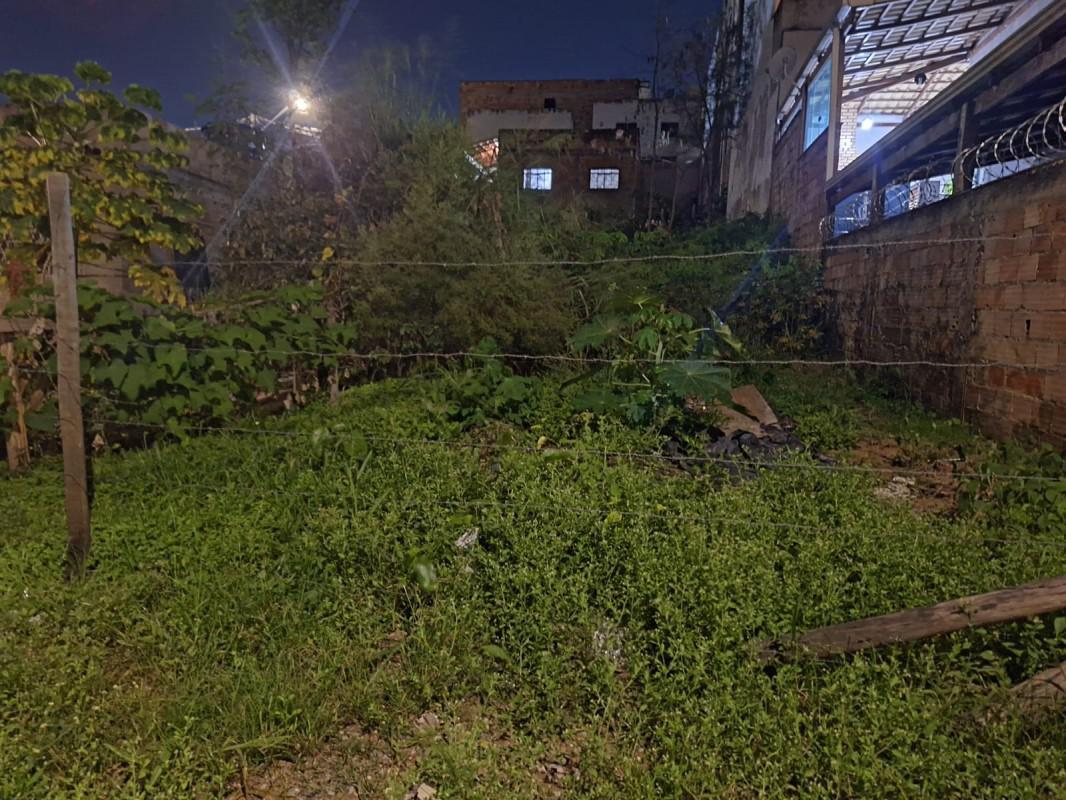 Lote, Palmeiras, 0 Quarto, 0 Vaga