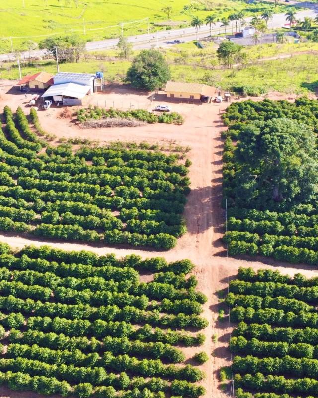 Fazenda, Centro, 0 Quarto, 0 Vaga