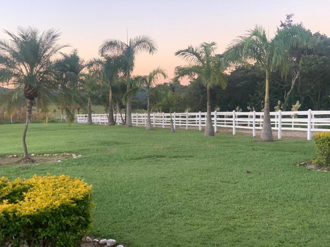 Fazenda, Centro, 3 Quartos, 10 Vagas, 1 Suíte