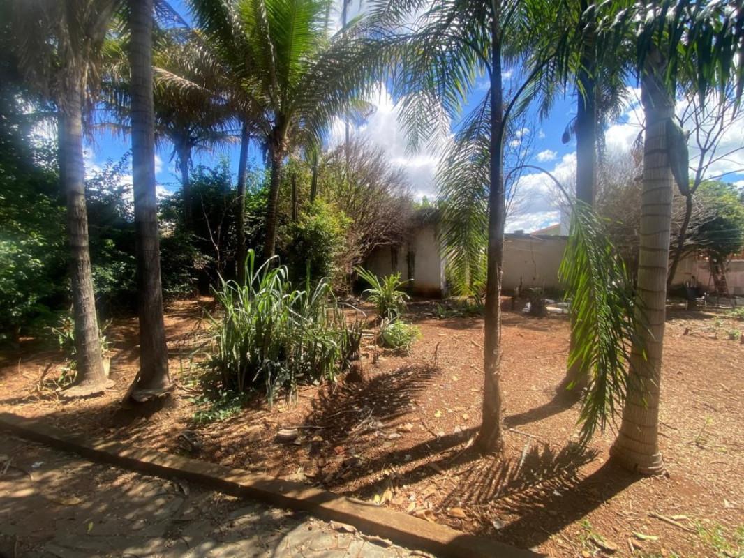Apartamento, Progresso, 4 Quartos, 5 Vagas