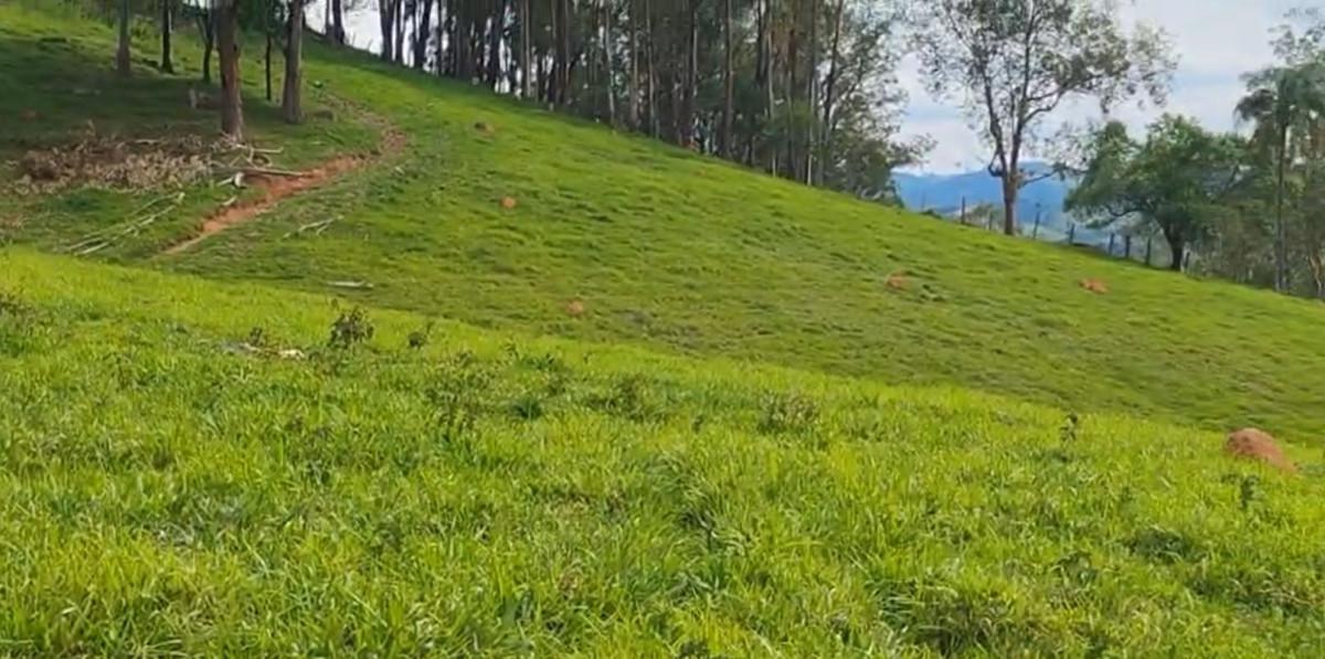 Fazenda, Zona Rural, 0 Quarto, 0 Vaga