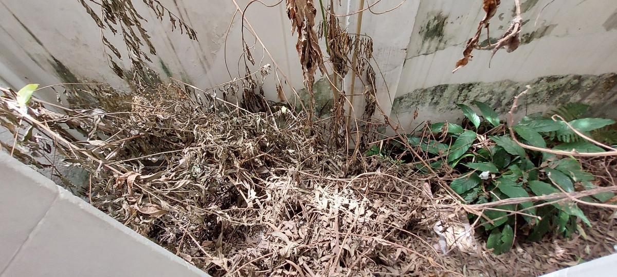 Casa, Barroca, 20 Quartos, 0 Vaga