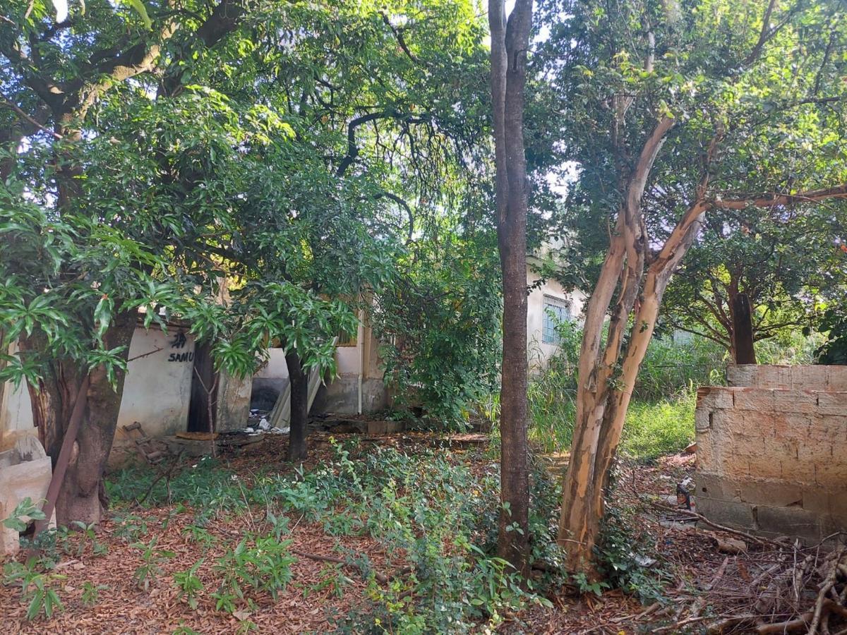 Lote, Ouro Preto, 0 Quarto, 0 Vaga