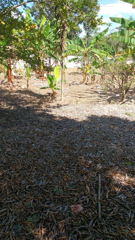 Fazenda, Centro, 3 Quartos, 8 Vagas, 1 Suíte
