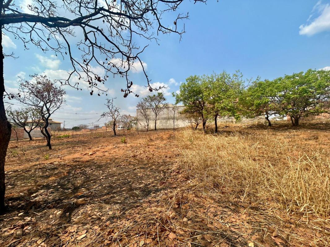 Lote, Vila dos Ipês, 0 Quarto, 0 Vaga