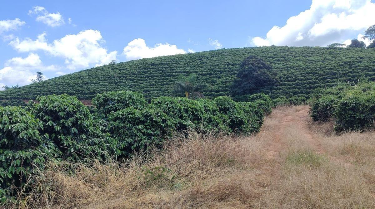 Fazenda, Zona Rural, 0 Quarto, 0 Vaga