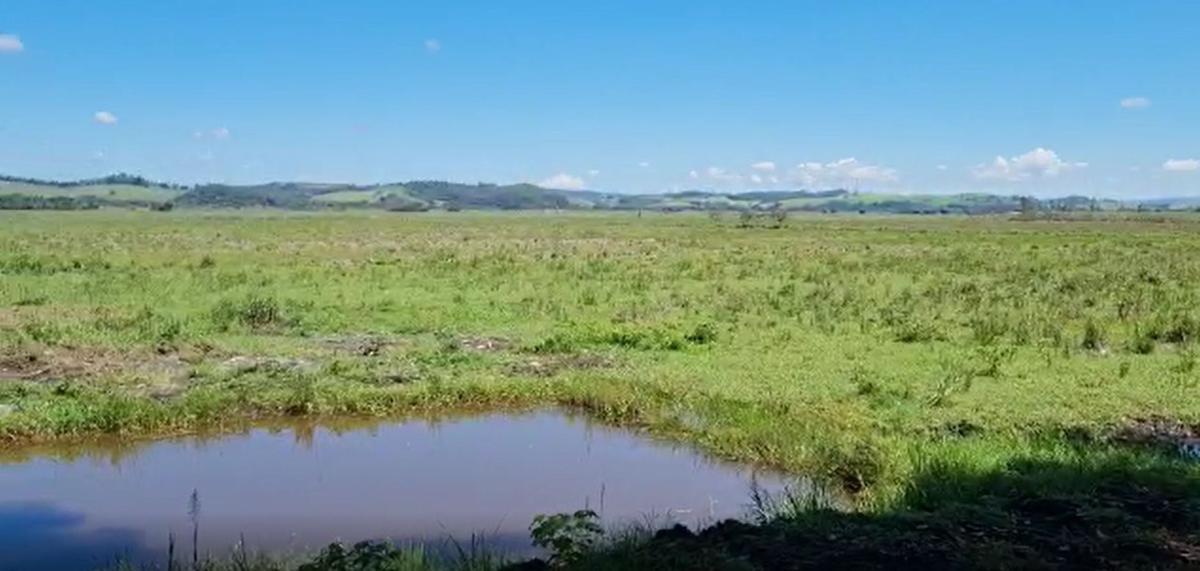 Fazenda, Centro, 0 Quarto, 0 Vaga