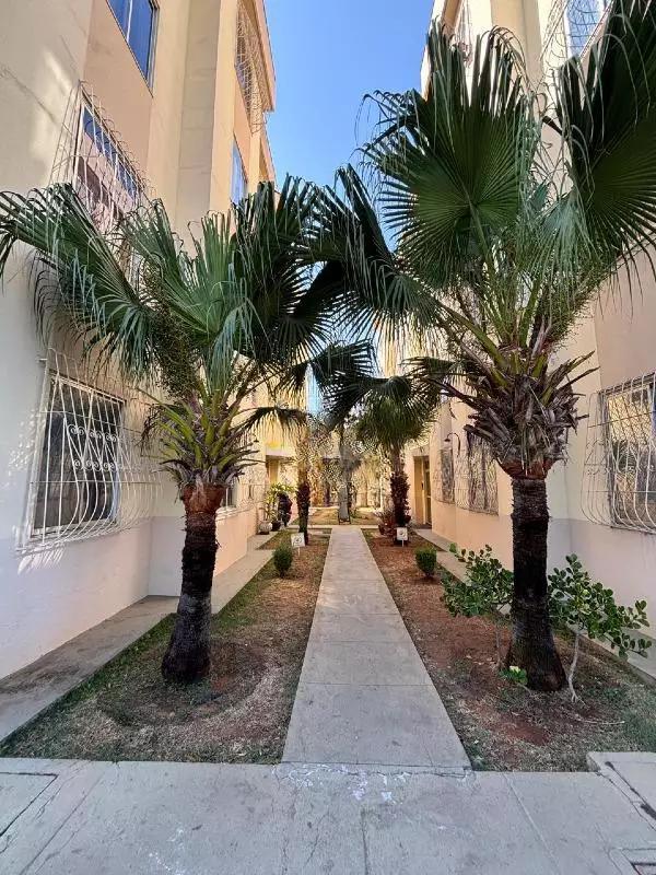 Apartamento, Amazonas, 3 Quartos, 2 Vagas
