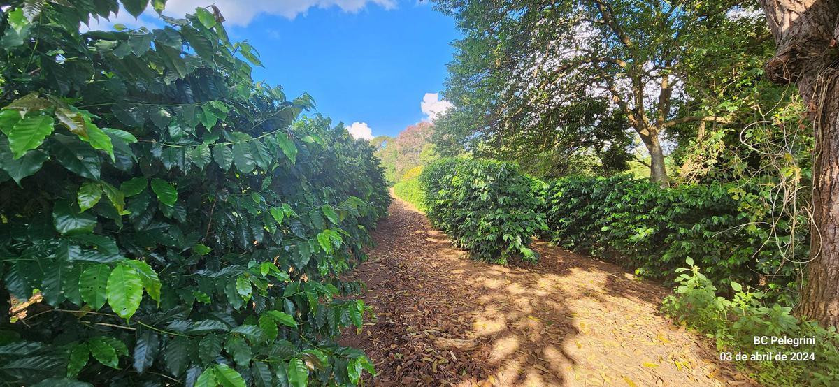 Fazenda, Zona Rural, 3 Quartos, 2 Vagas, 1 Suíte
