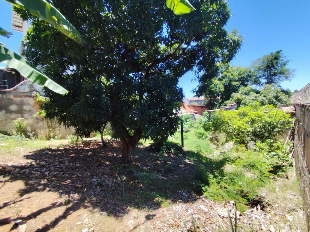 Lote, Planalto, 0 Quarto, 0 Vaga