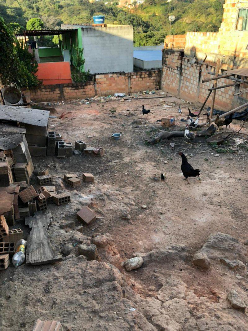 Lote, Palmeiras, 0 Quarto, 0 Vaga