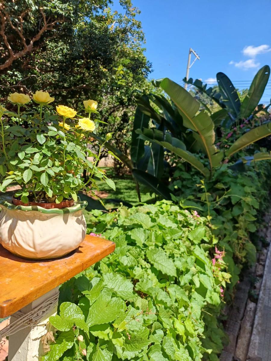 Casa, Colégio Batista, 3 Quartos, 3 Vagas