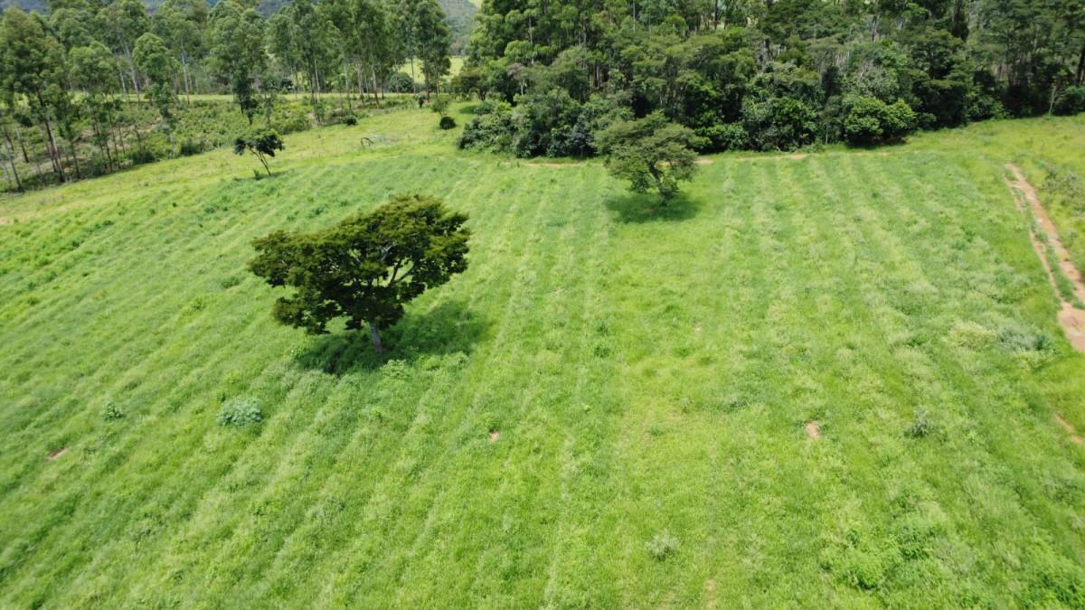 Fazenda, Zona Rural, 0 Quarto, 0 Vaga