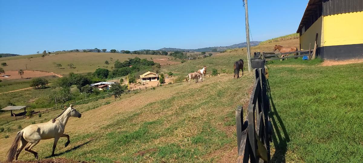Fazenda, Centro, 4 Quartos, 2 Vagas, 1 Suíte