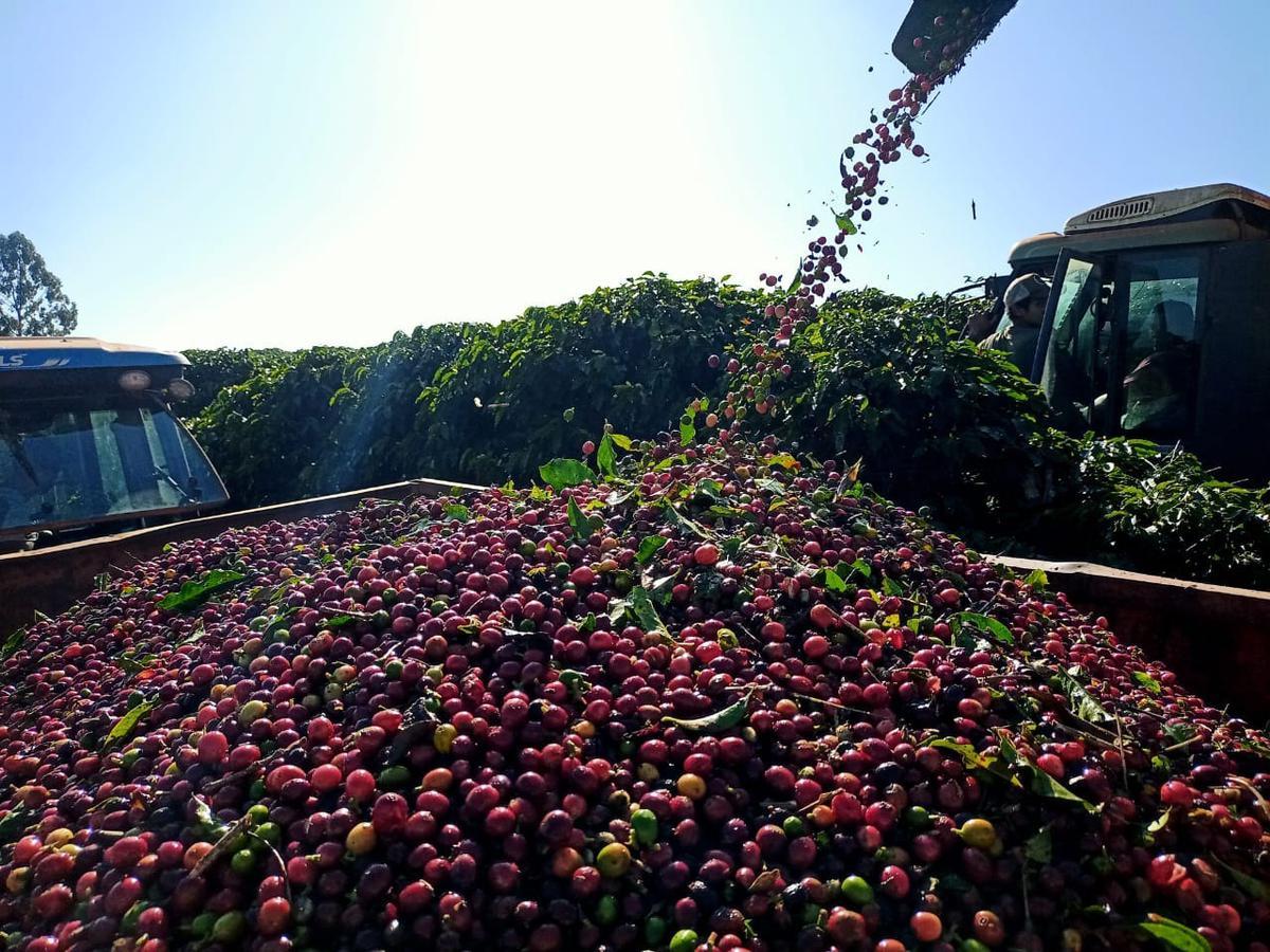 Fazenda, Zona Rural, 3 Quartos, 0 Vaga