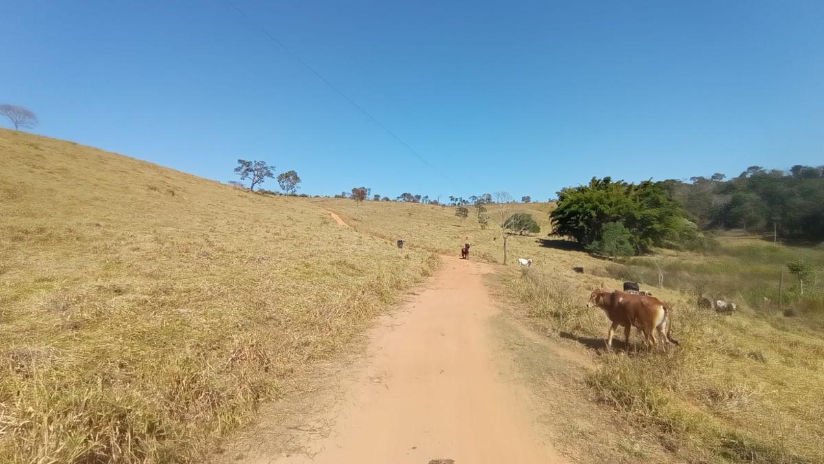 Fazenda, Zona Rural, 0 Quarto, 0 Vaga