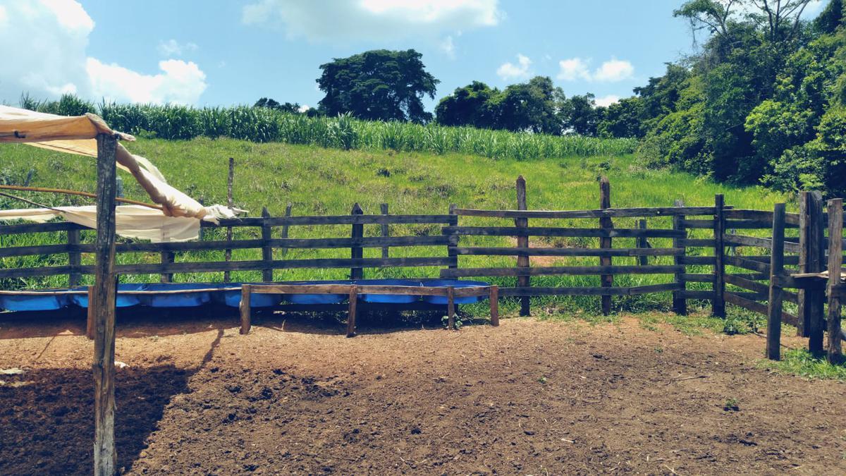 Fazenda, Zona Rural, 3 Quartos, 0 Vaga