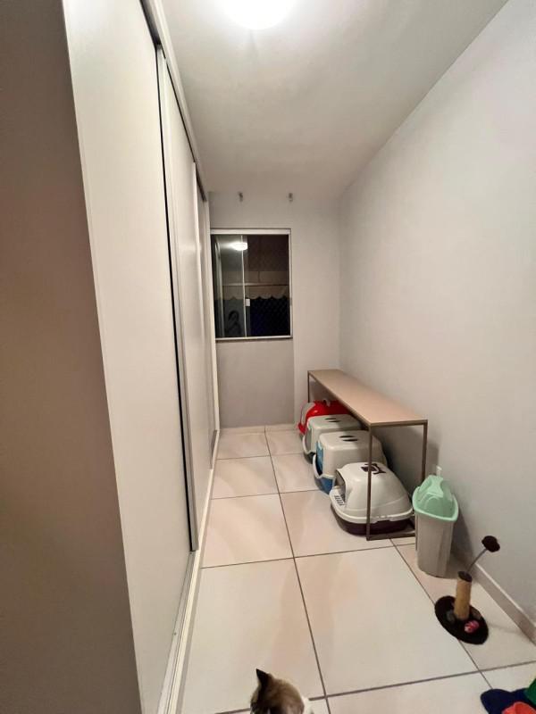 Apartamento, Palmeiras, 2 Quartos, 1 Vaga