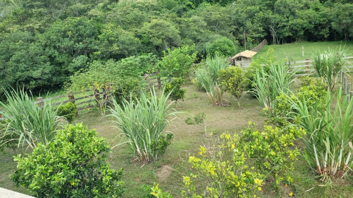 Fazenda, Centro, 3 Quartos, 3 Vagas, 1 Suíte