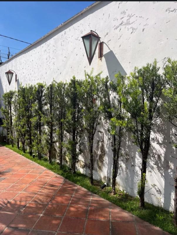 Casa, Betânia, 3 Quartos, 6 Vagas