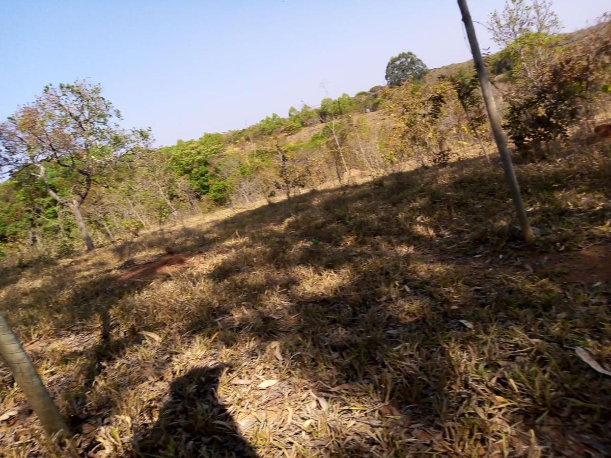 Lote, Zona Rural, 0 Quarto, 10 Vagas