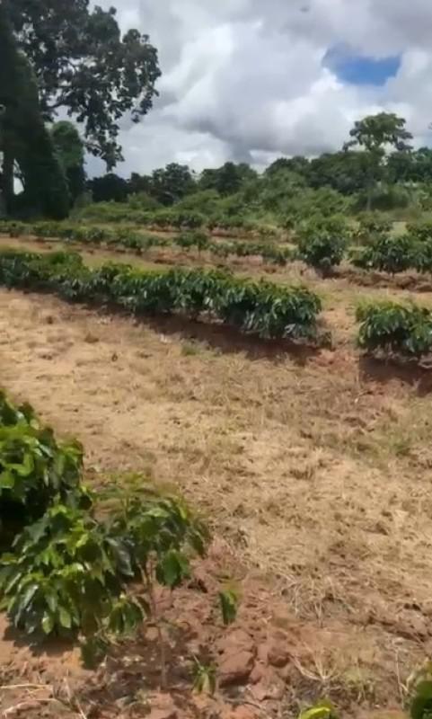 Fazenda, Zona Rural, 0 Quarto, 0 Vaga
