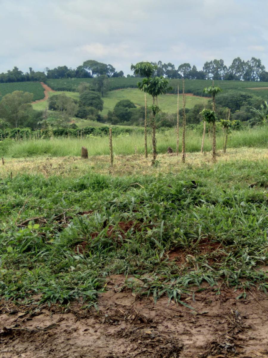 Fazenda, Zona Rural, 1 Quarto, 0 Vaga