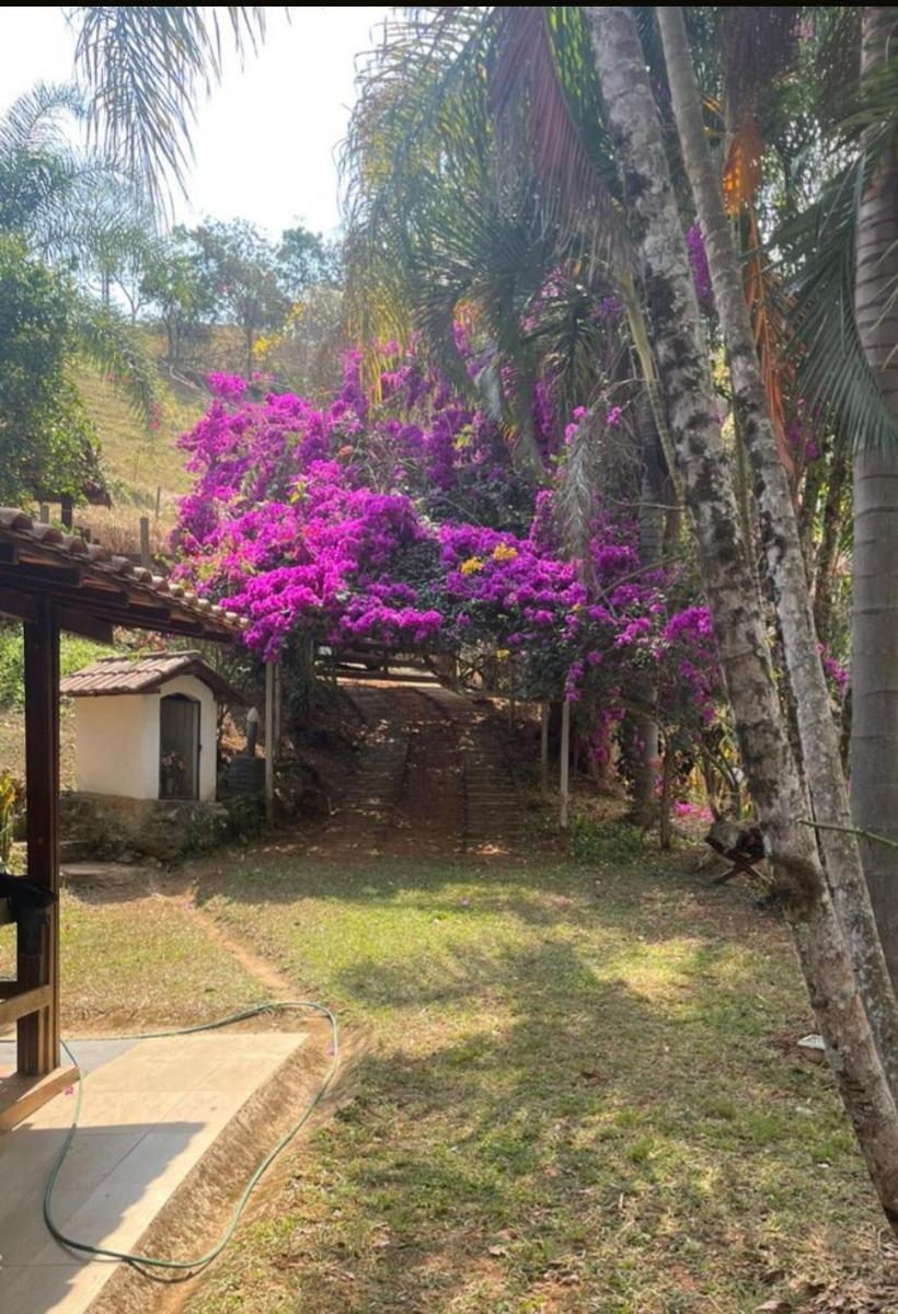 Fazenda, Centro, 4 Quartos, 10 Vagas