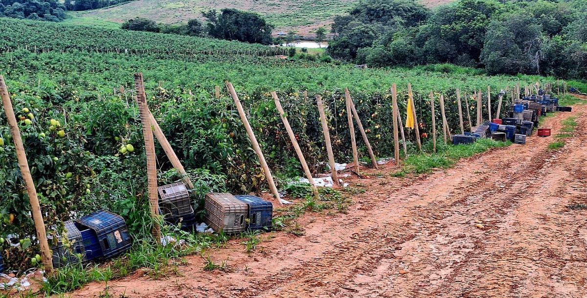 Fazenda, Zona Rural, 3 Quartos, 0 Vaga
