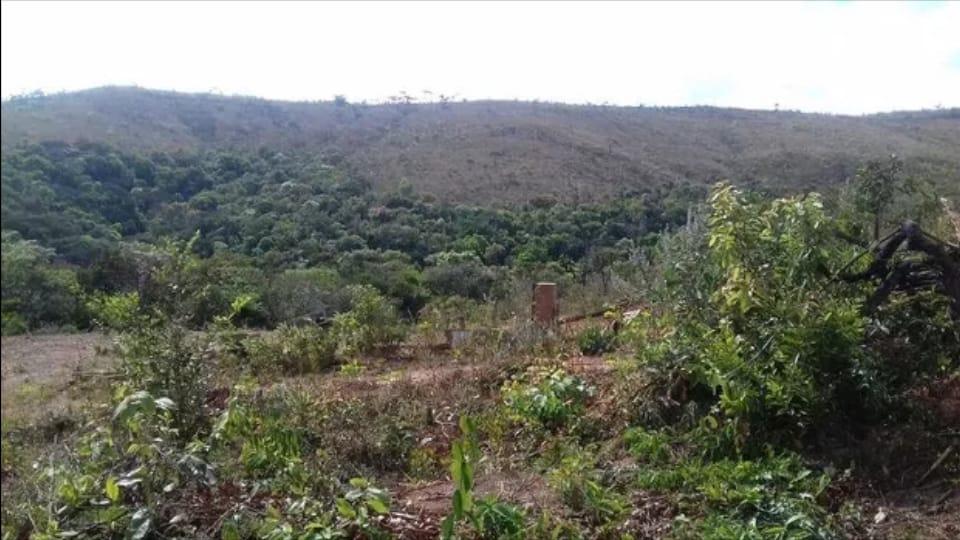 Lote, Morro Vermelho, 0 Quarto, 0 Vaga