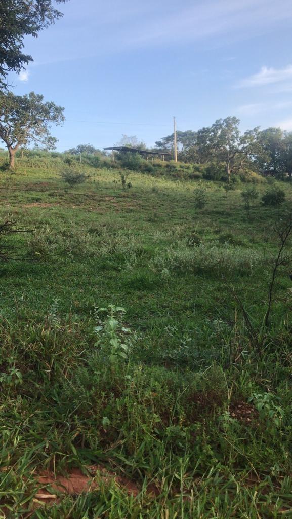 Fazenda, Área Rural de Pará de Minas, 3 Quartos, 0 Vaga, 1 Suíte
