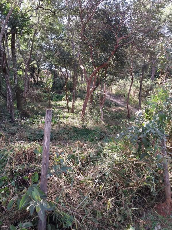 Lote, Nova Esmeraldas, 0 Quarto, 0 Vaga