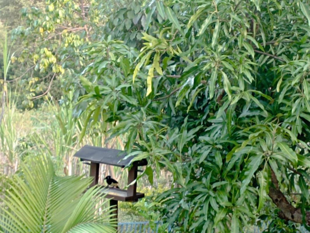 Fazenda, Zona Rural, 3 Quartos, 1 Vaga