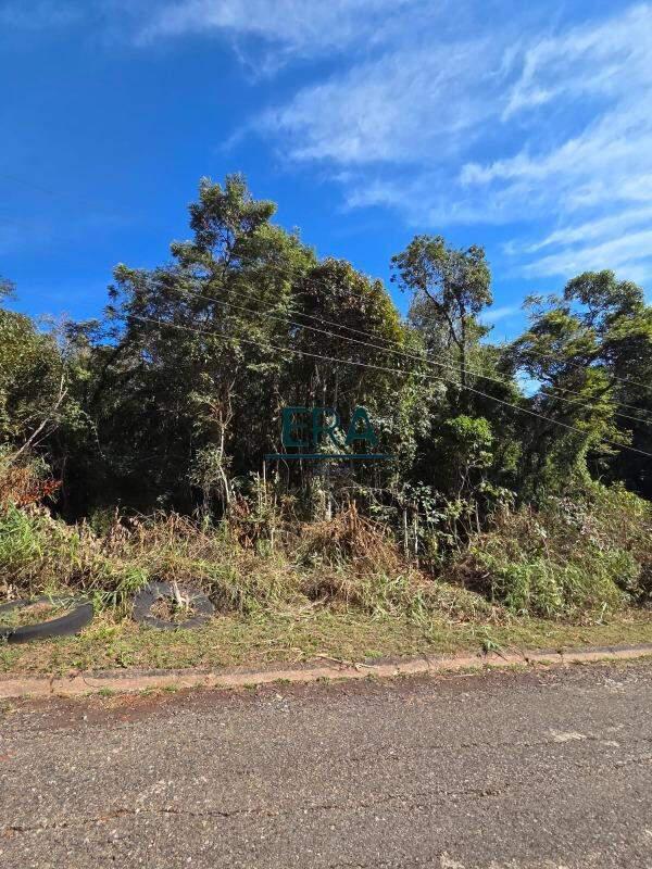 Lote, Village Sans Souci, 0 Quarto, 0 Vaga