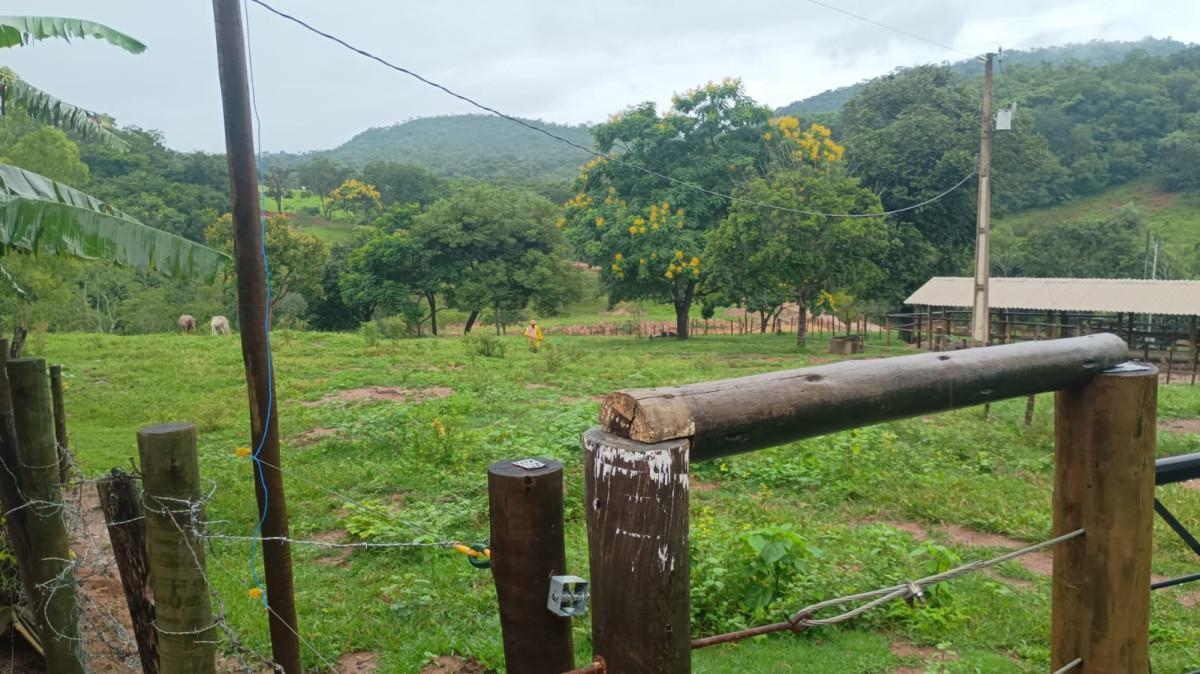 Fazenda, Centro, 3 Quartos, 100 Vagas