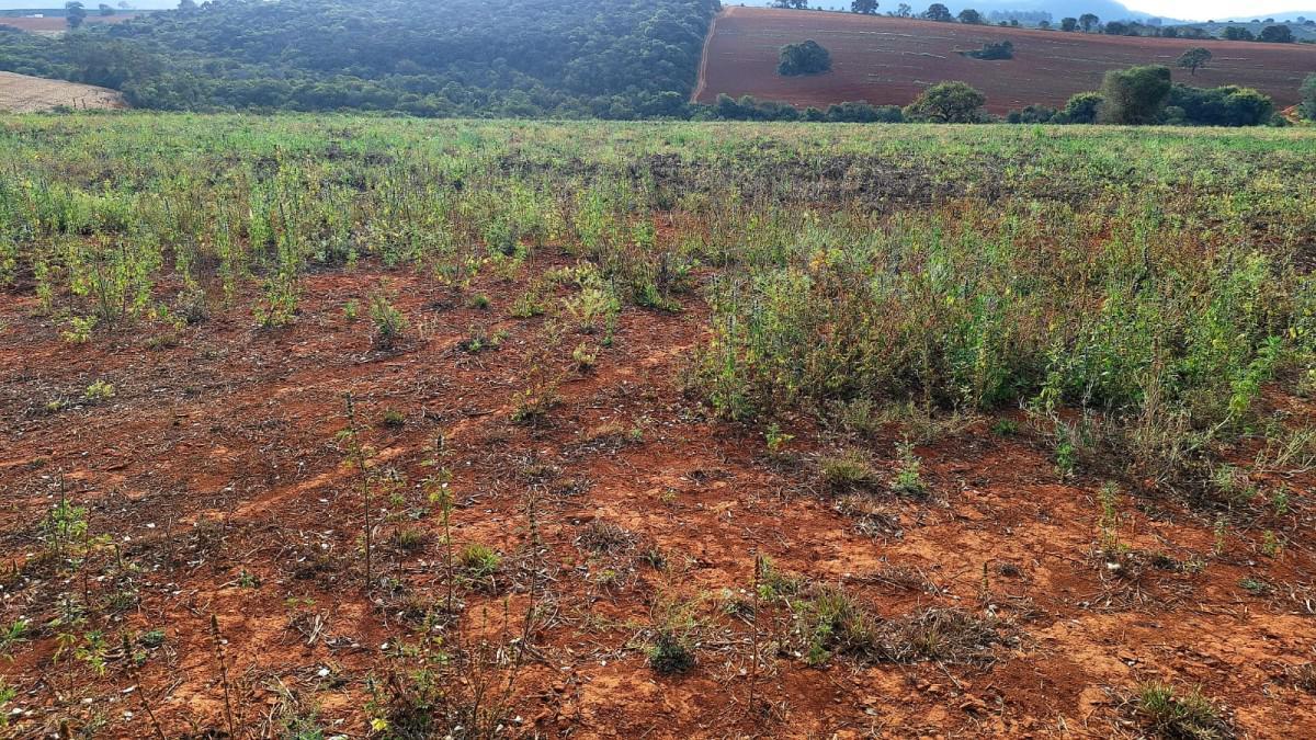 Fazenda, Zona Rural, 0 Quarto, 0 Vaga