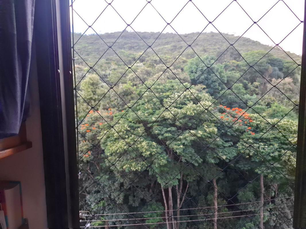 Apartamento, Sion, 4 Quartos, 3 Vagas, 1 Suíte
